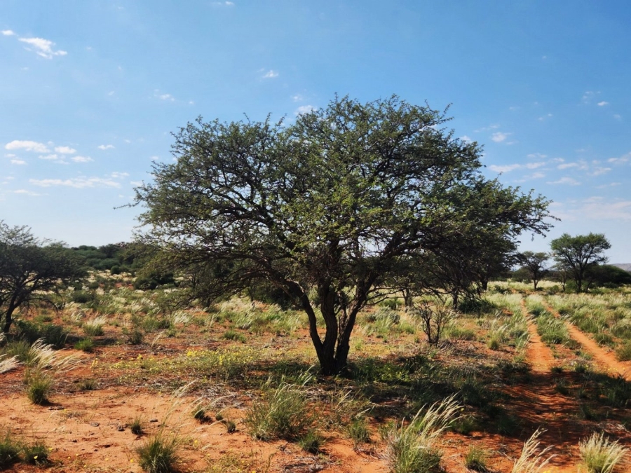 Commercial Property for Sale in Marydale Northern Cape